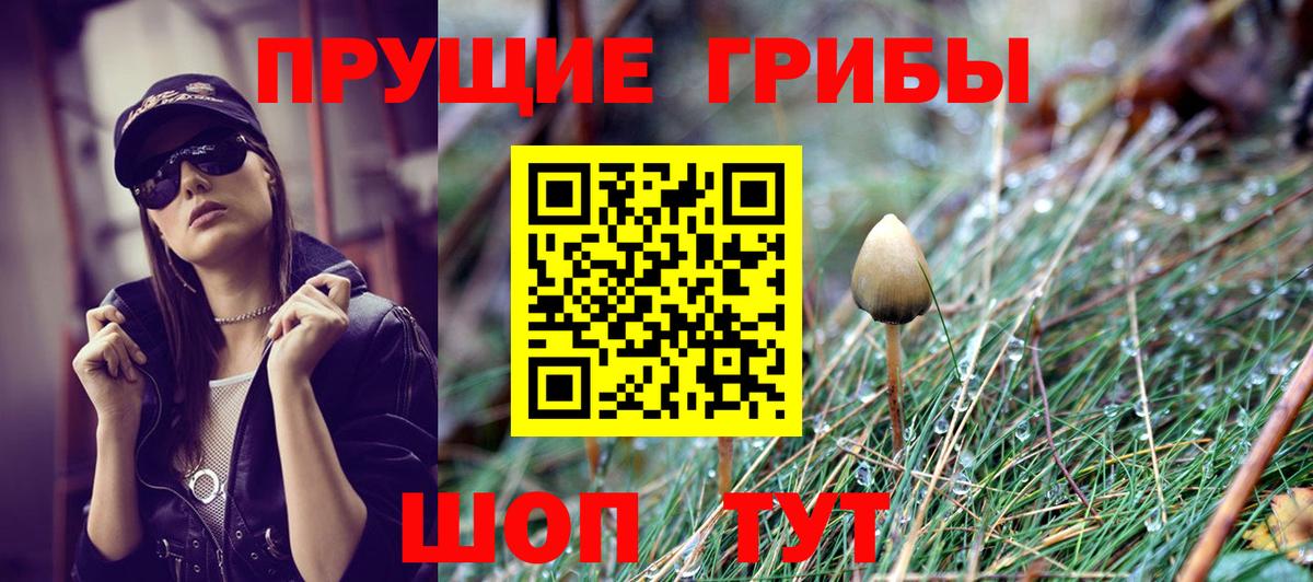 Псилоцибиновые грибы ЛСД  Вход с VPN  хочу   Кингисепп 